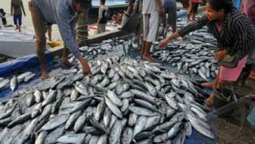 Produksi Ikan Laut Semester I Capai Separuh Proyeksi Tahun Ini